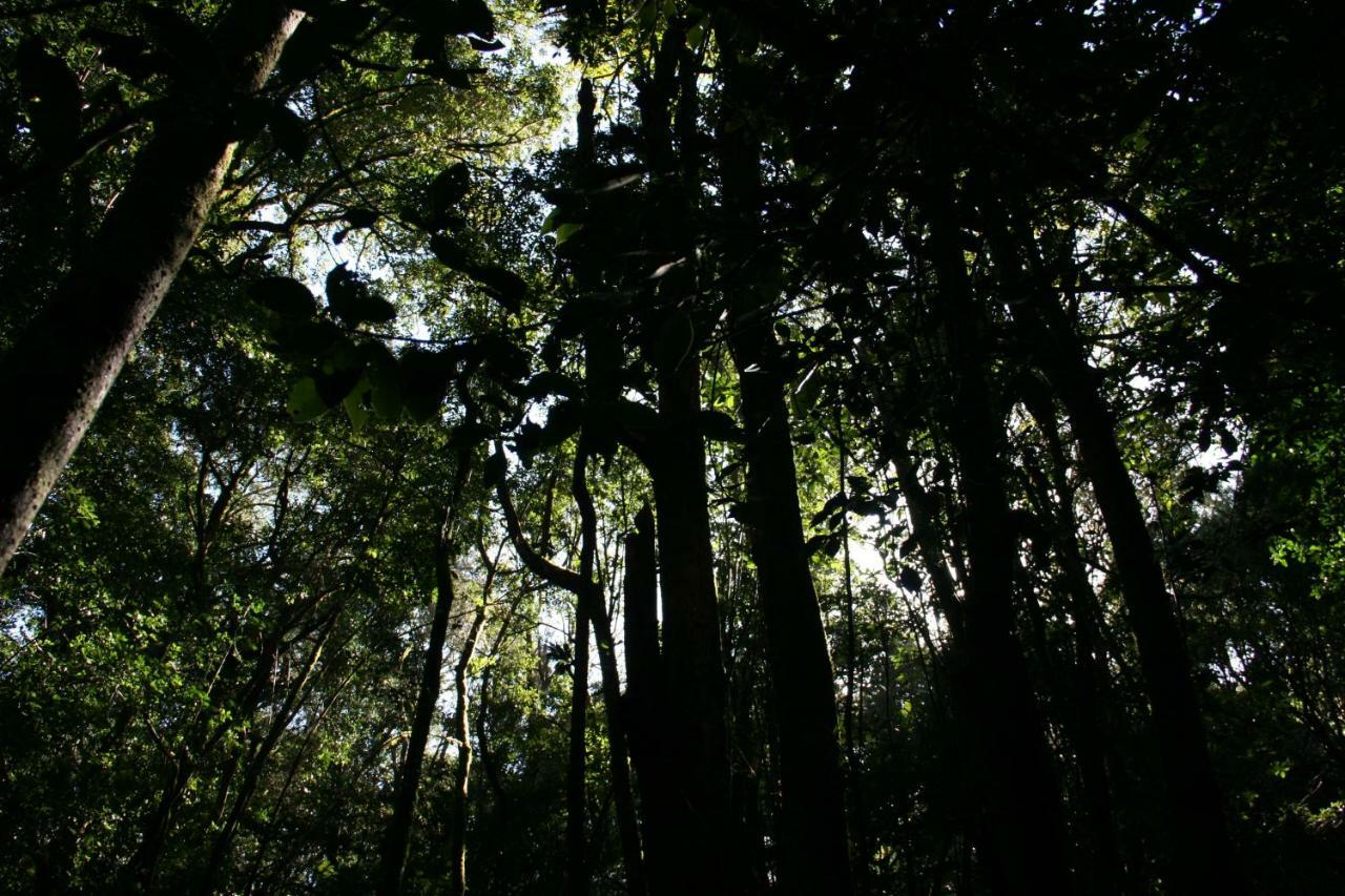 El Sabinar Vallehermoso Exterior foto